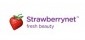 Strawberry Net Logo